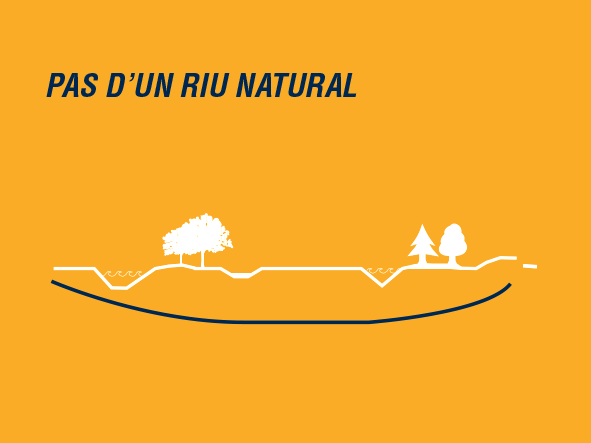 infografia_phd_aplicacions_1c