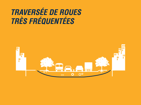 infografia_phd_aplicacions_6_fr